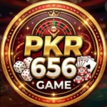 pkr656-game-icon